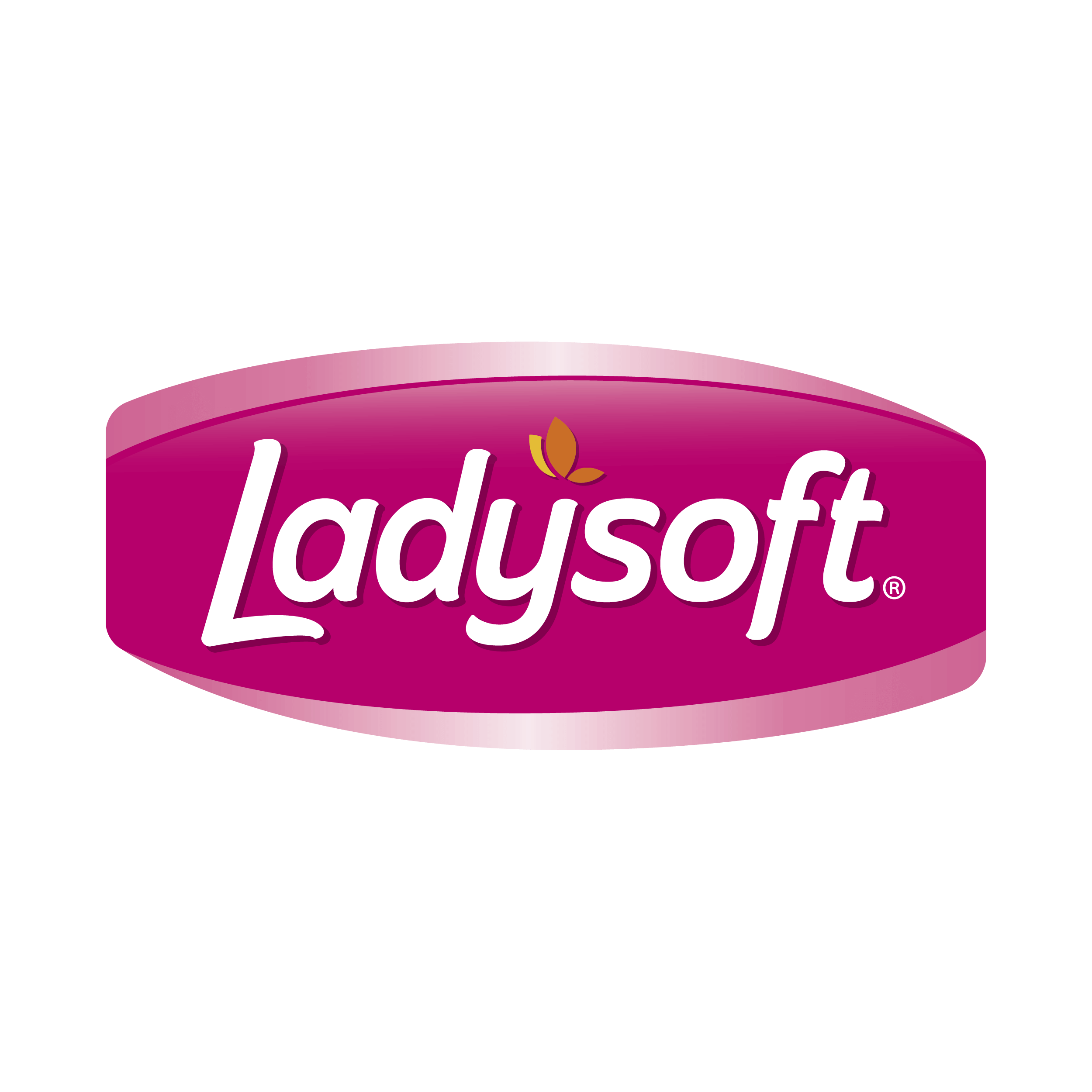 logo ladysoft